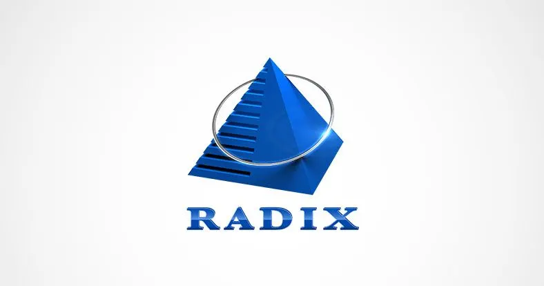 Radix company logo with blue pyramid and magnifying glass design